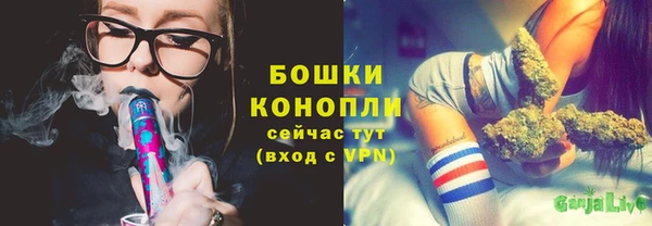 винт Аркадак