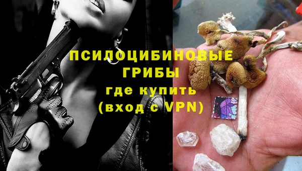 гидропоника Арсеньев