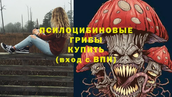 гидропоника Арсеньев