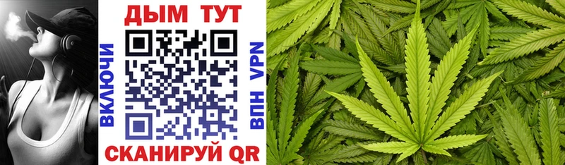 Шишки марихуана Bruce Banner  Сальск 